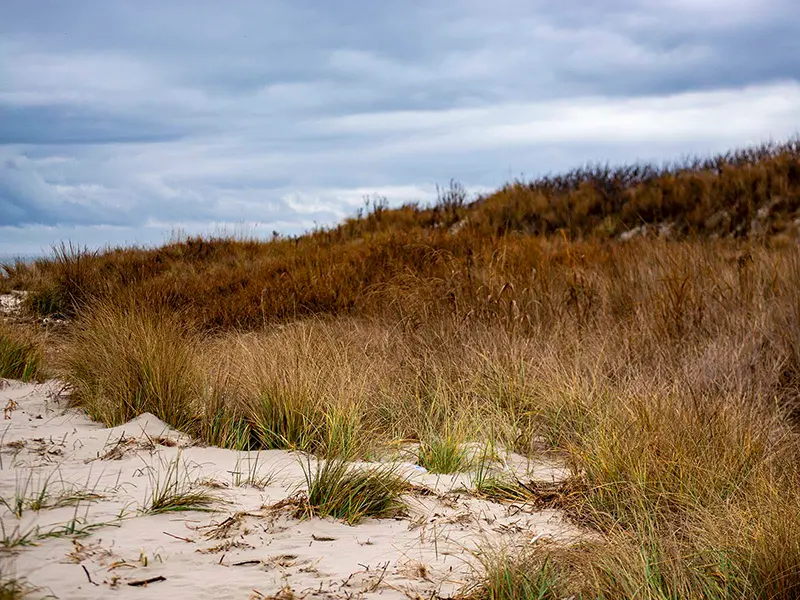 Grandview Natural Preserve in Virginia